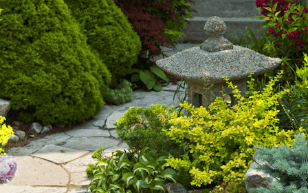 A garden with bushes and trees.