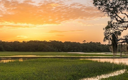 A field with trees and a body of water in the background.