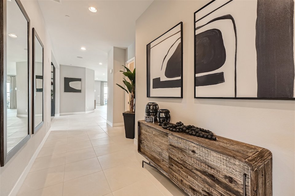 A room with a plant in it.