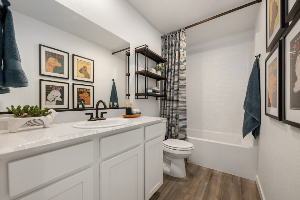 A bathroom with a sink toilet and a shelf with pictures on it.