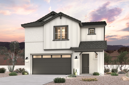 0066 30513 W WHITETHORN ACACIA