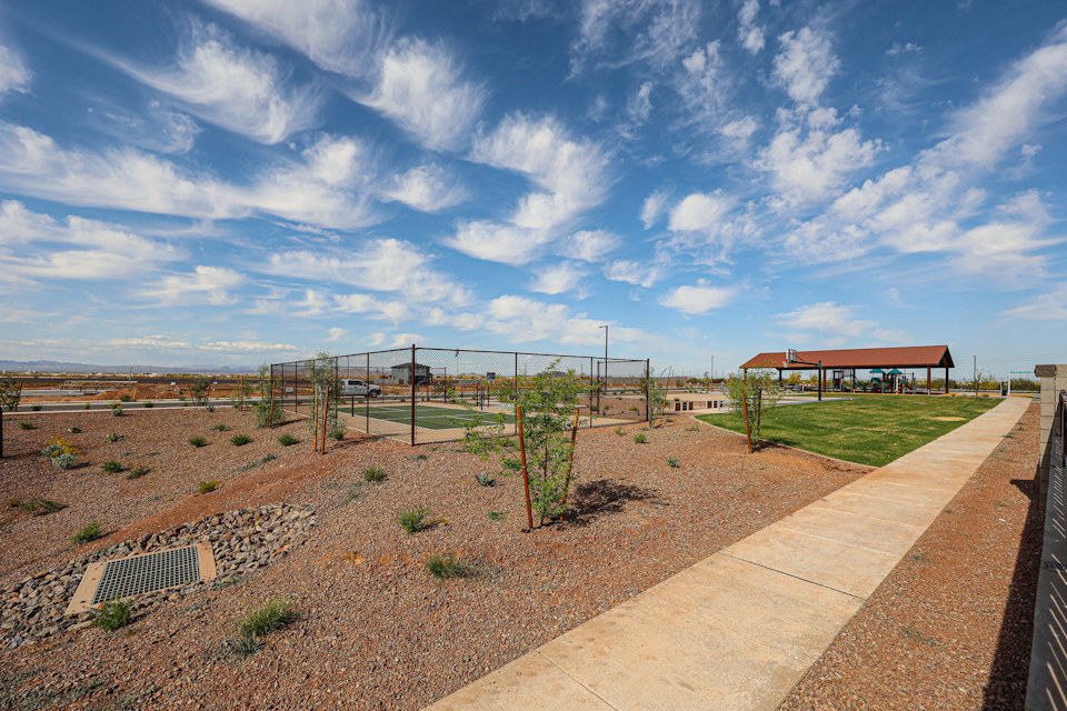 A garden with a fence and a path.