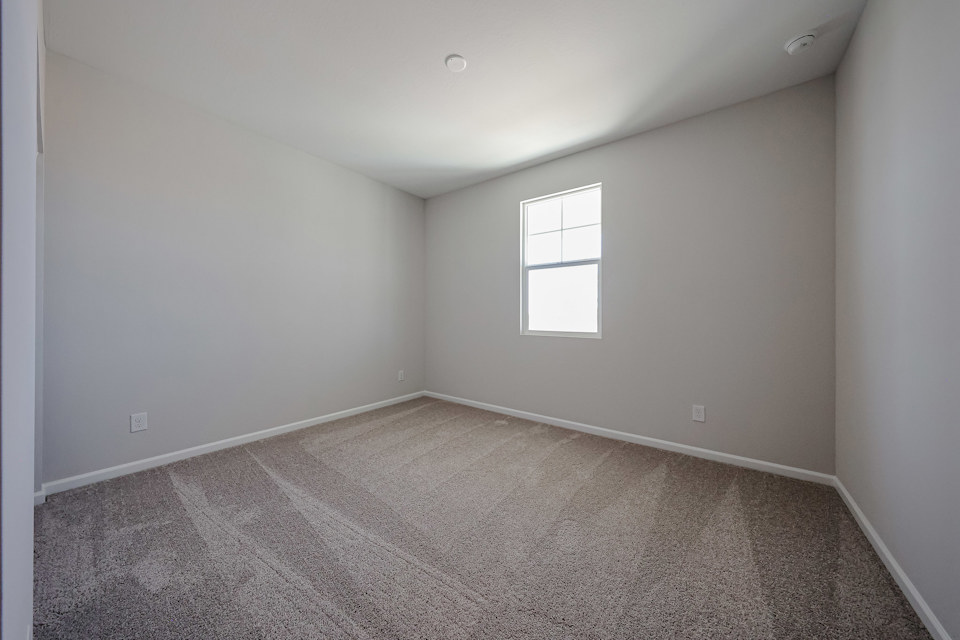 A room with a carpet and windows.