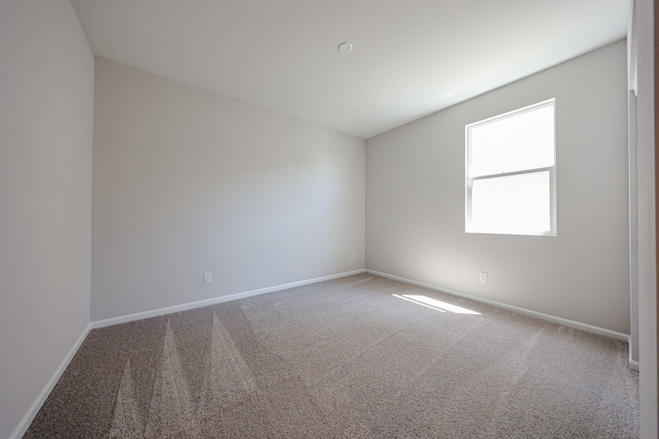 A room with a carpet and a window.