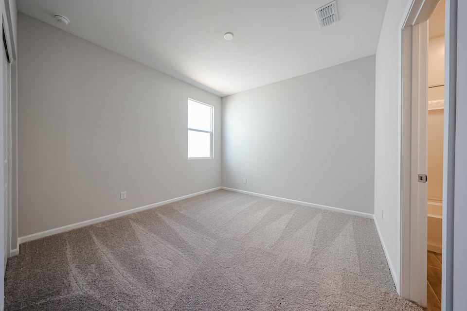 A room with a carpet and windows.