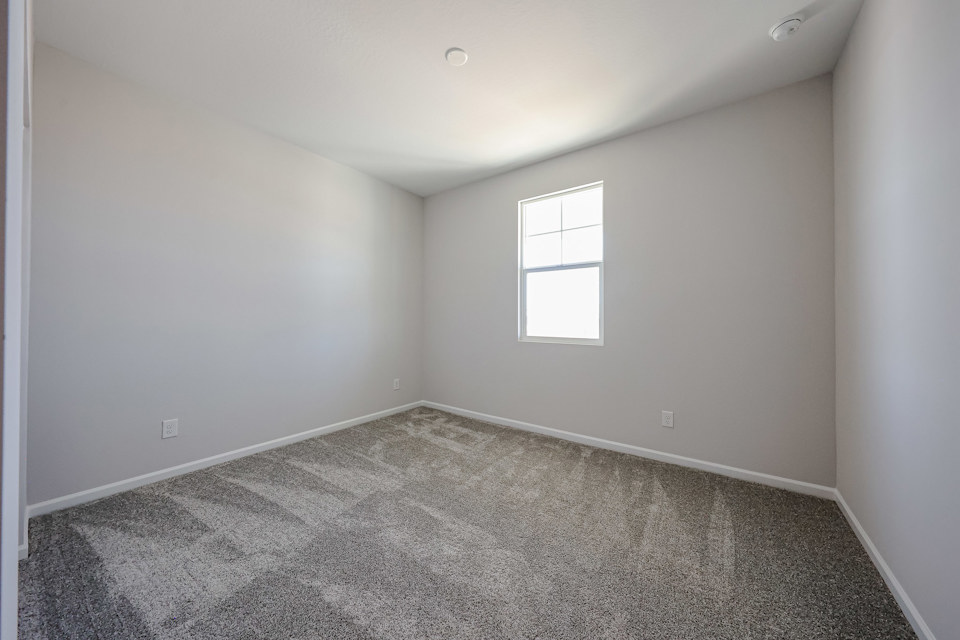 A room with a carpet and windows.