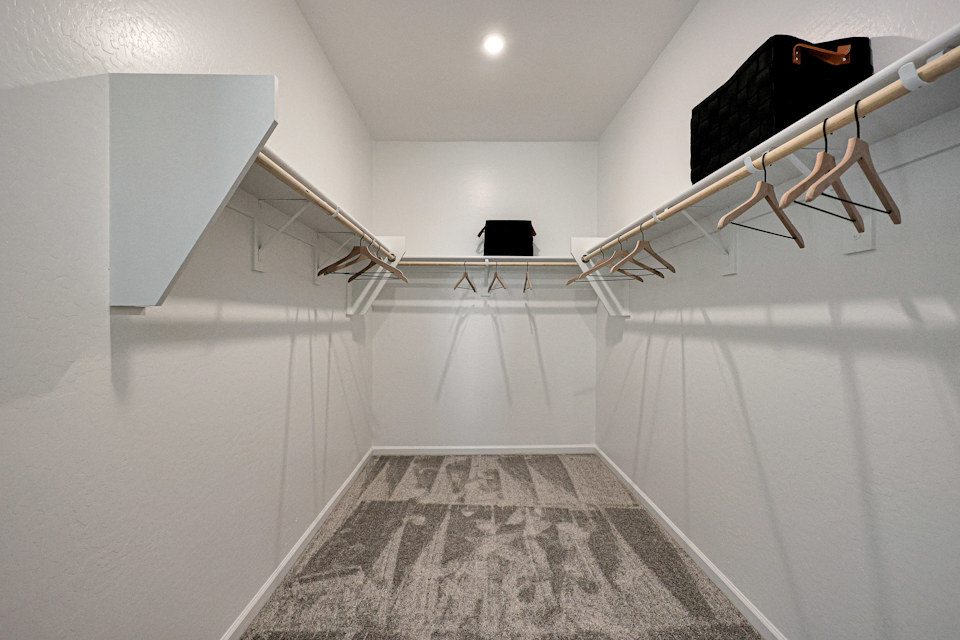 A staircase in a building.