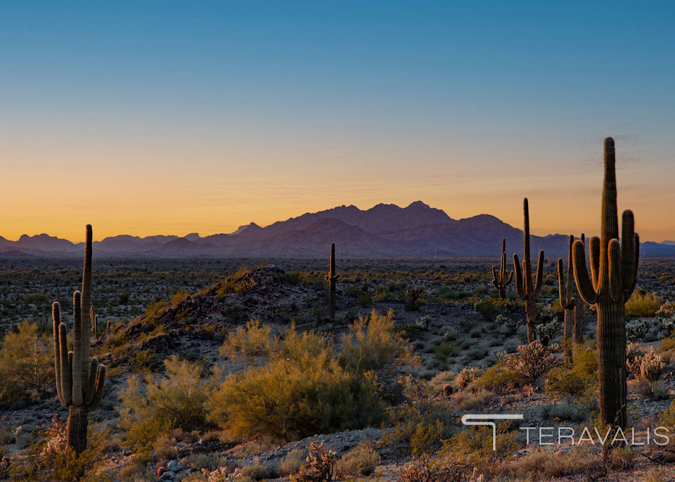 A desert landscape with cactus.