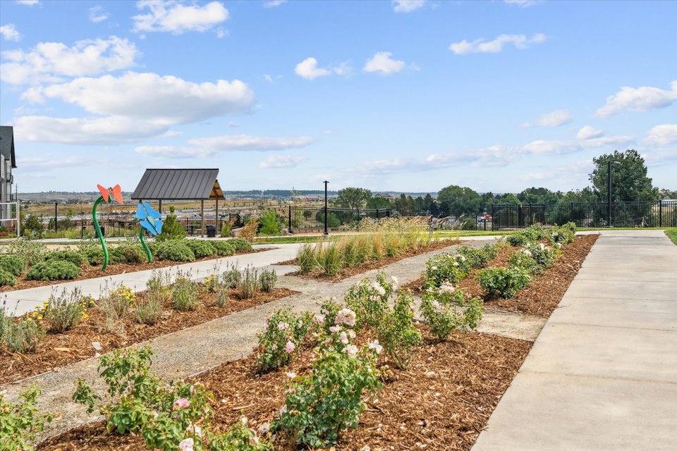 A garden with a sidewalk and a path.