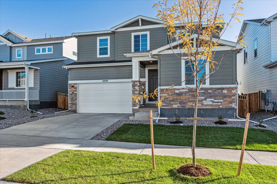 A tree in front of a house.