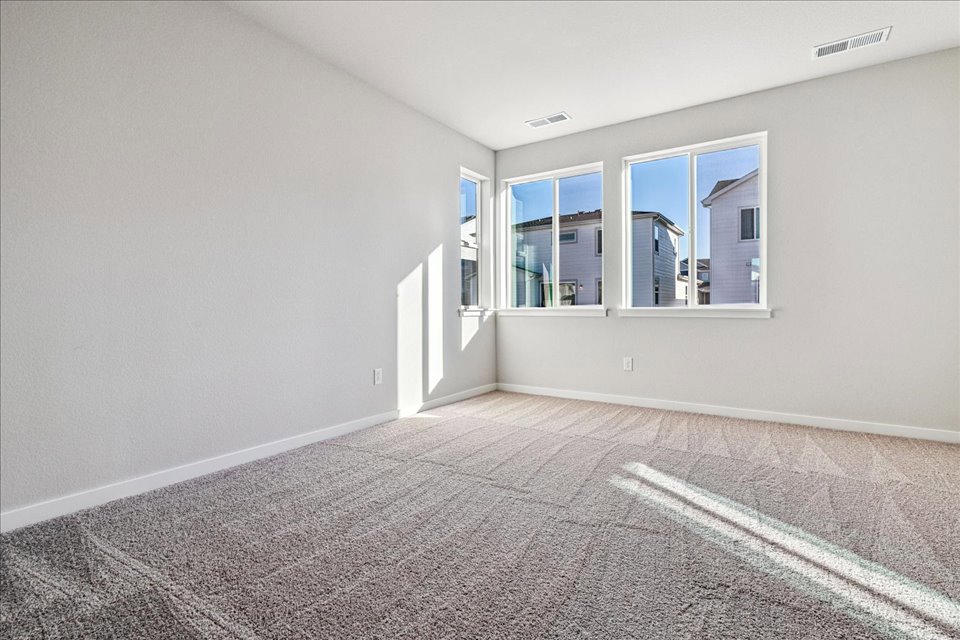 A room with a carpet and windows.