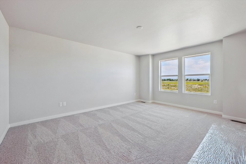A room with a carpet and windows.