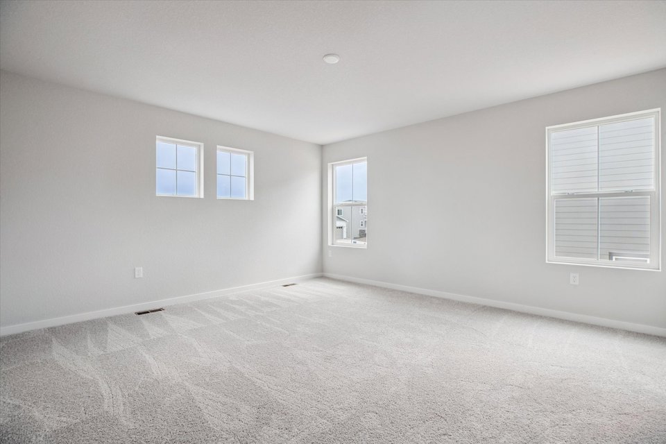 A room with windows and a carpet.