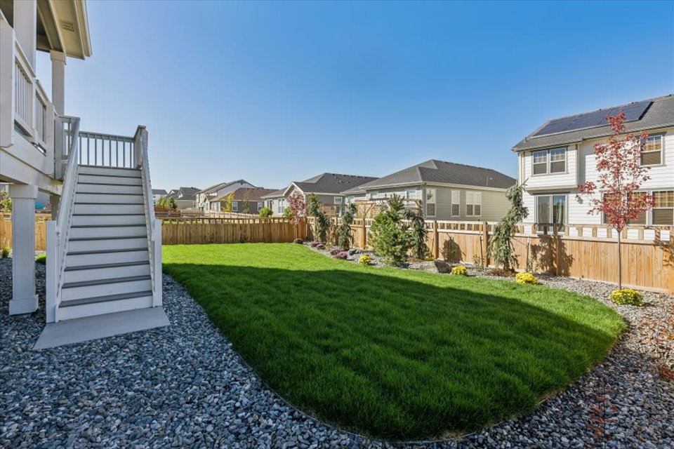 A small garden in a backyard.
