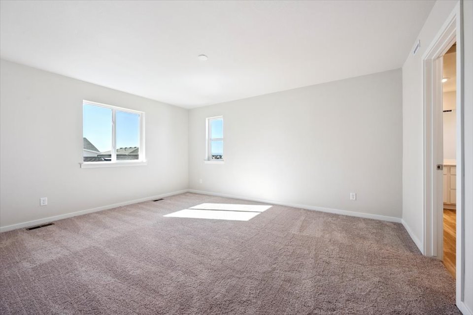 A room with a carpet and windows.