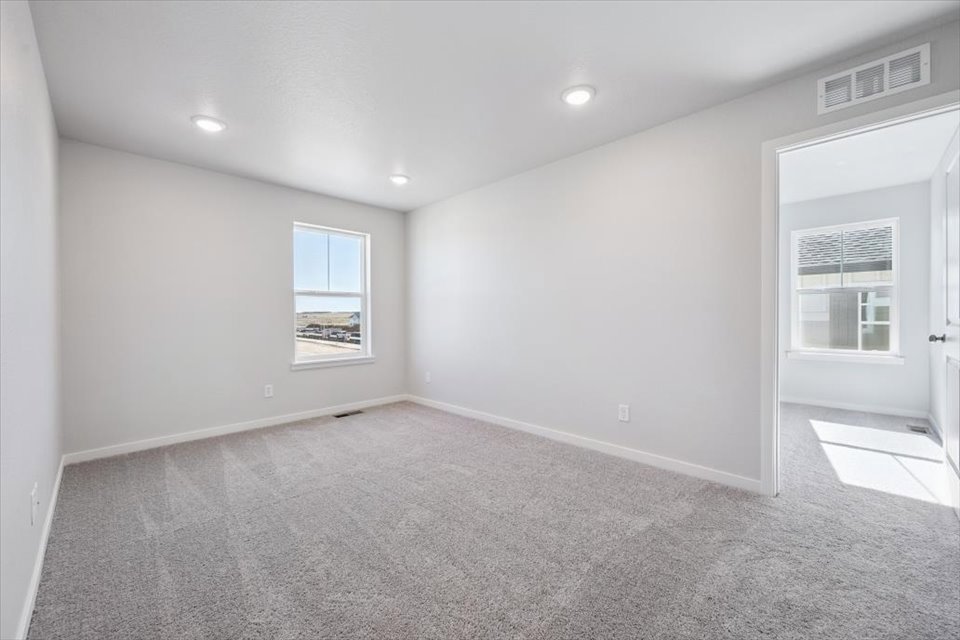 A room with a carpet and windows.