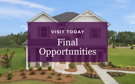 A house with a lawn and a large lawn.