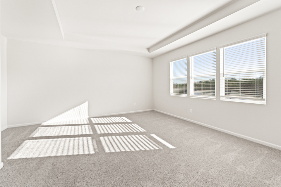 A room with a couch and a rug.