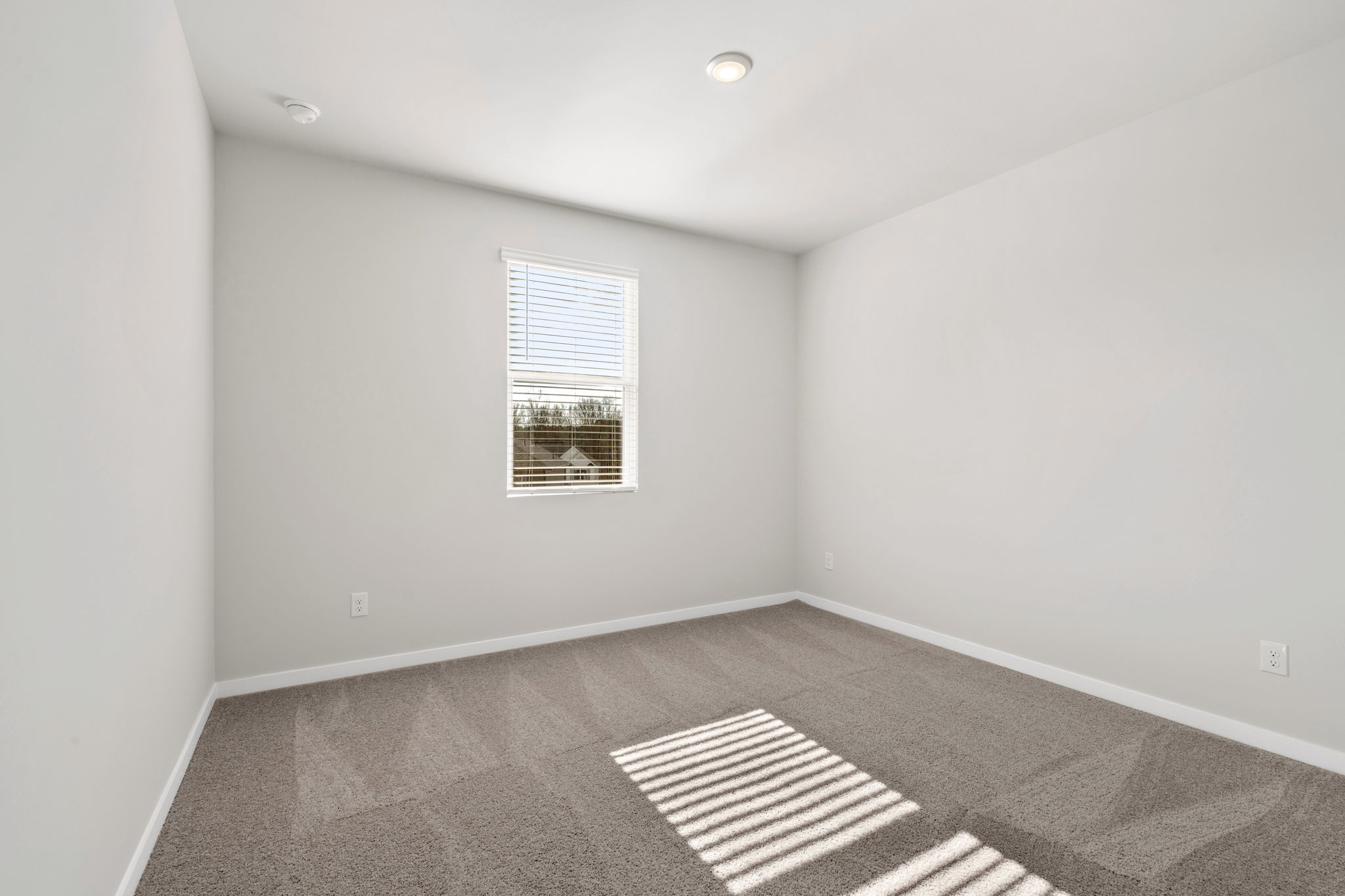 A room with a rug and a window.