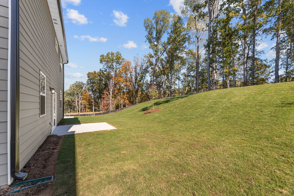 A backyard with a grass yard and trees.