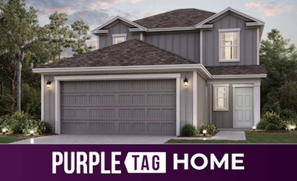 Purple Tag Home Lot 169 at The Landings at Pecan Park