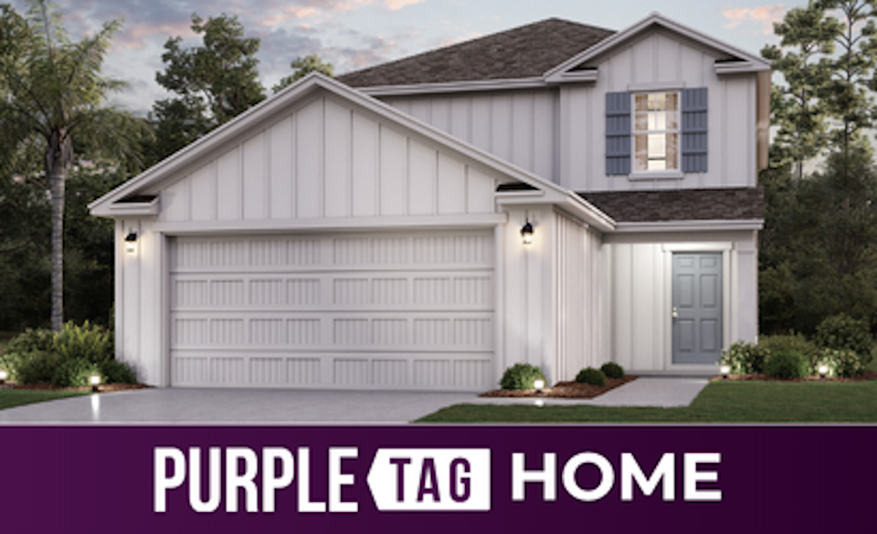 Purple Tag Home Lot 180 at The Landings at Pecan Park