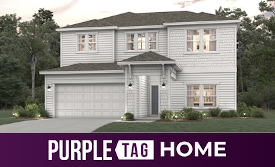Purple Tag Home Lot 527 at NorthShore
