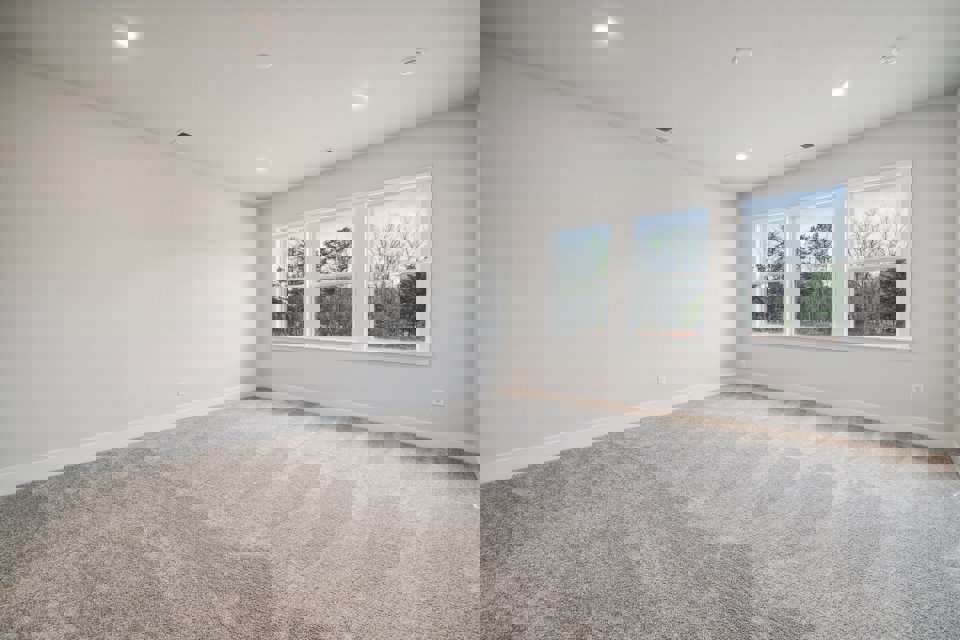 A room with a carpet and windows.