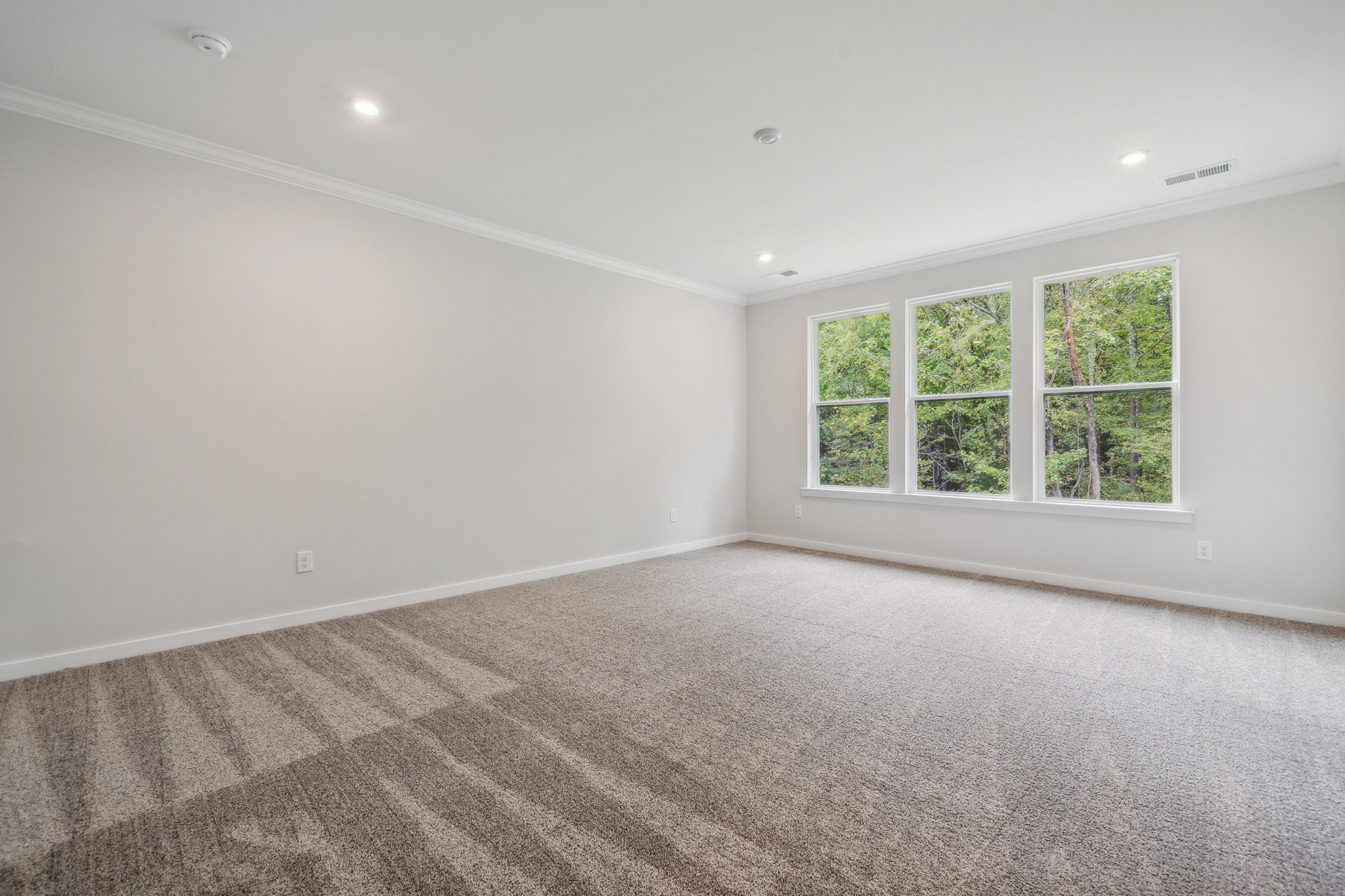 A room with a carpet and windows.