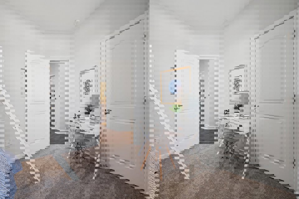 A room with white doors and a table with a plant on it.