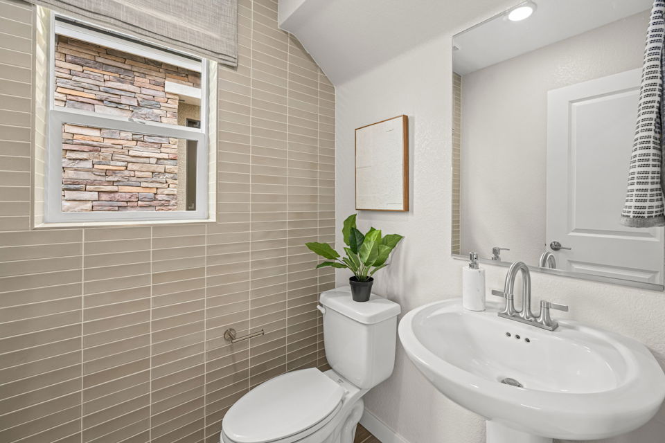 A bathroom with a plant on the toilet.
