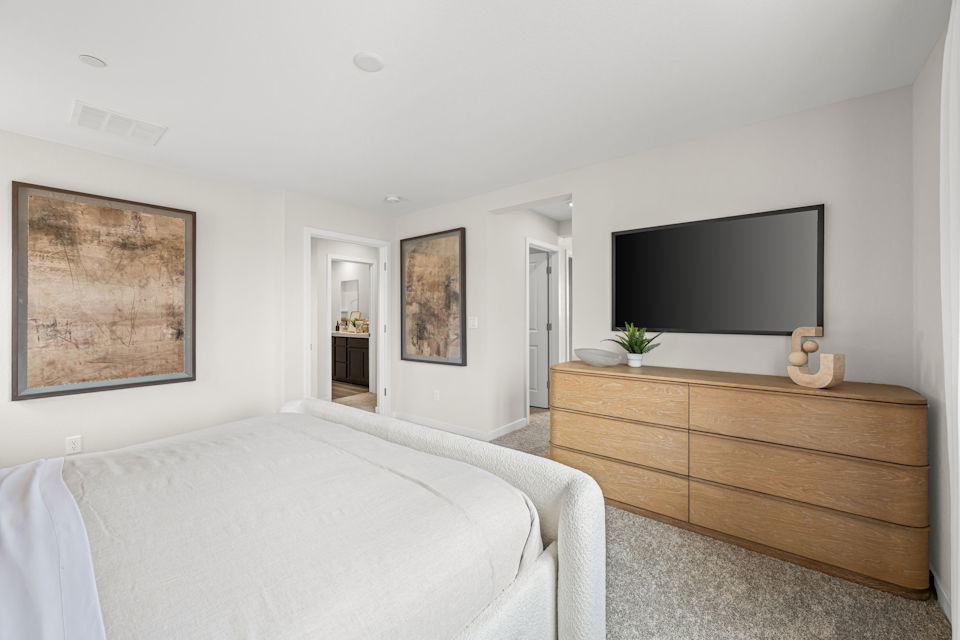 A bedroom with a tv and a bed.