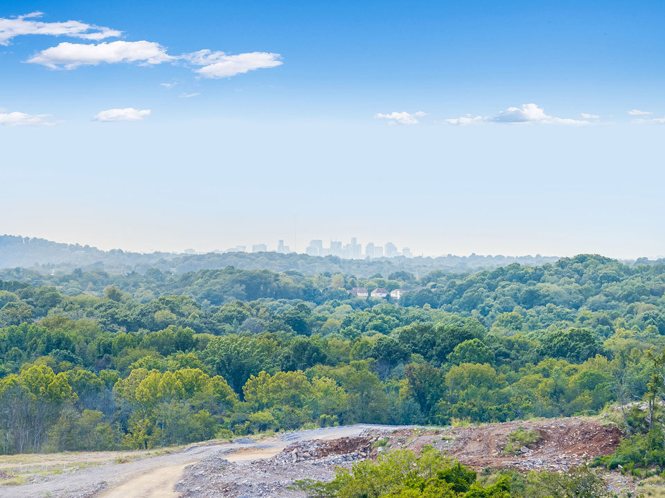 A landscape with trees and a city in the background.