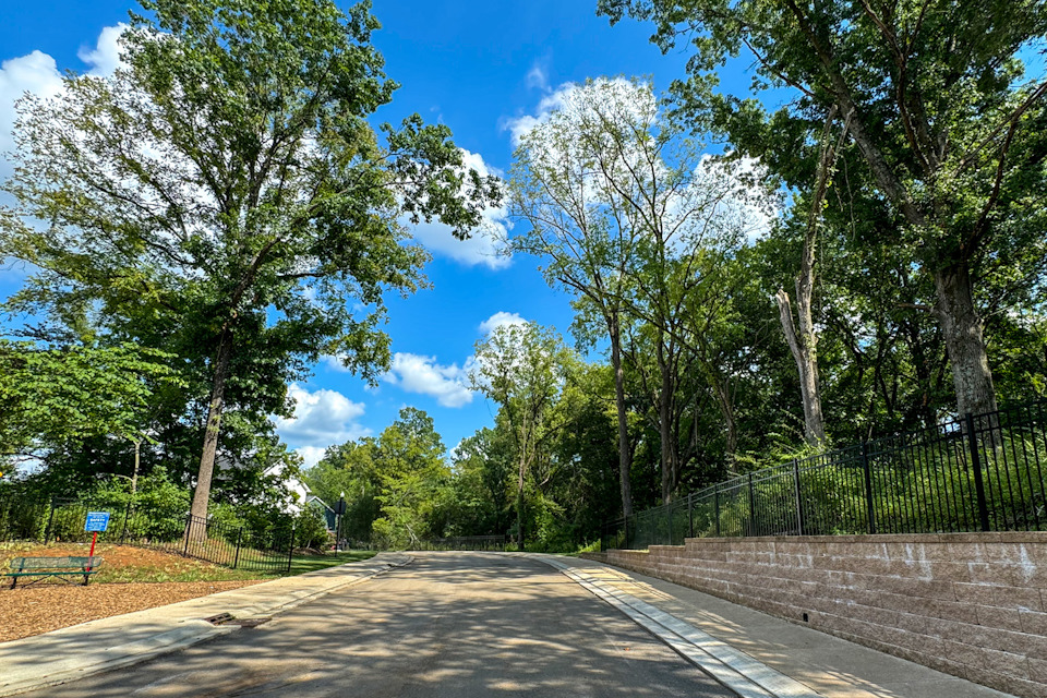 A road with trees on the side.