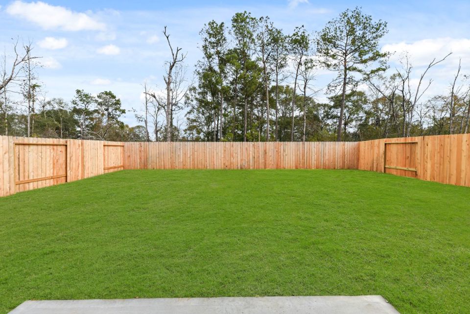 A green grass field.