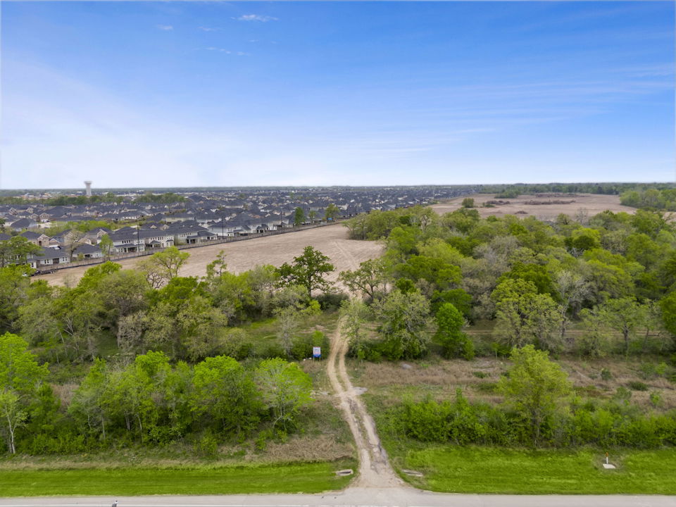 A landscape with trees and grass.