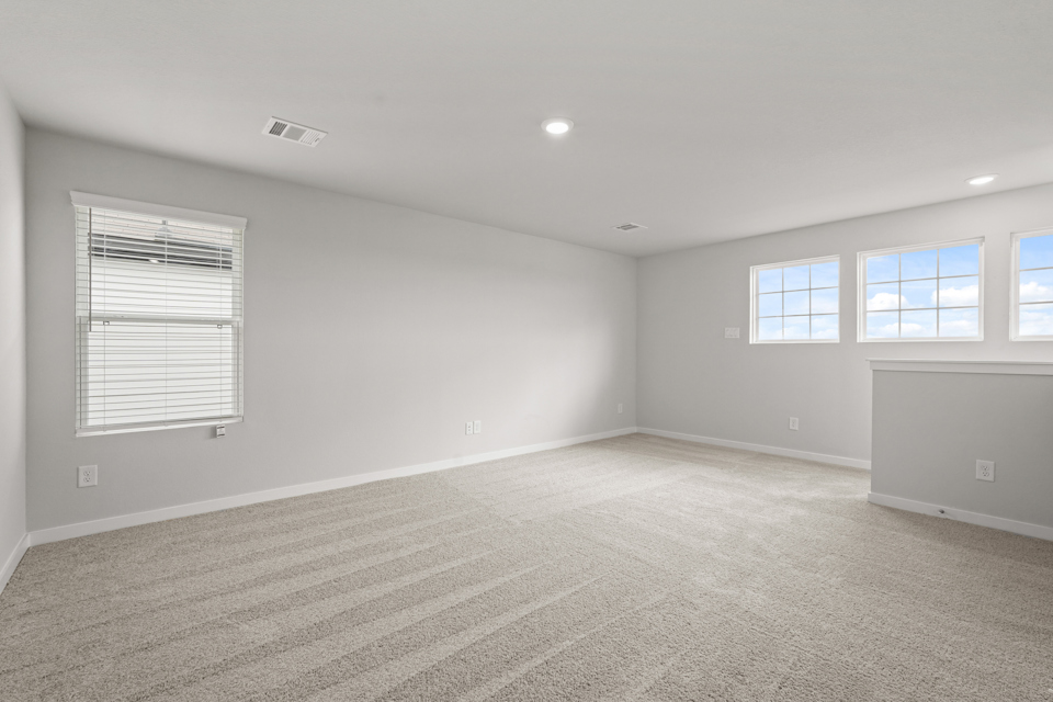 A room with a carpet and windows.