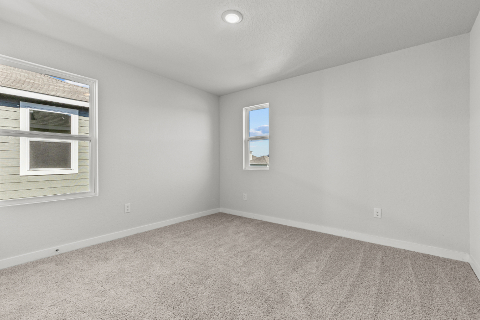 A room with a carpet and windows.