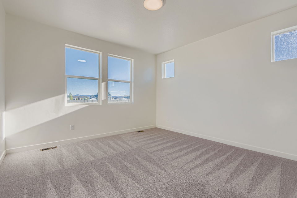 A room with a carpet and windows.
