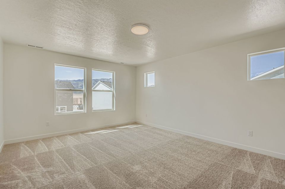 A room with a carpet and windows.