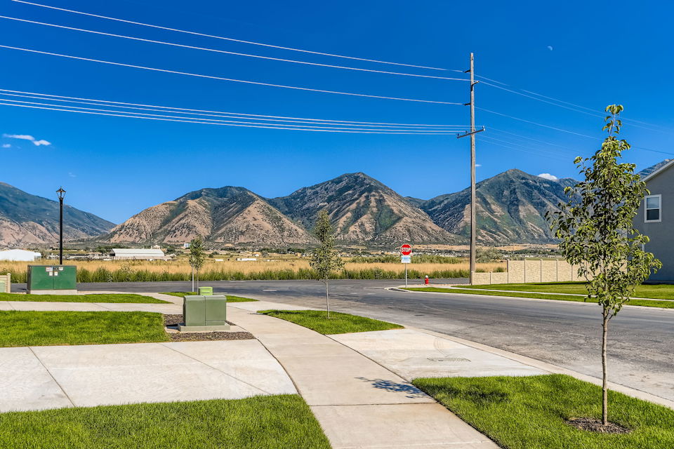 A street with a tree and mountains in the background.