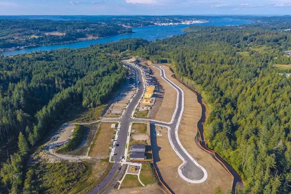 A river running through a forest.