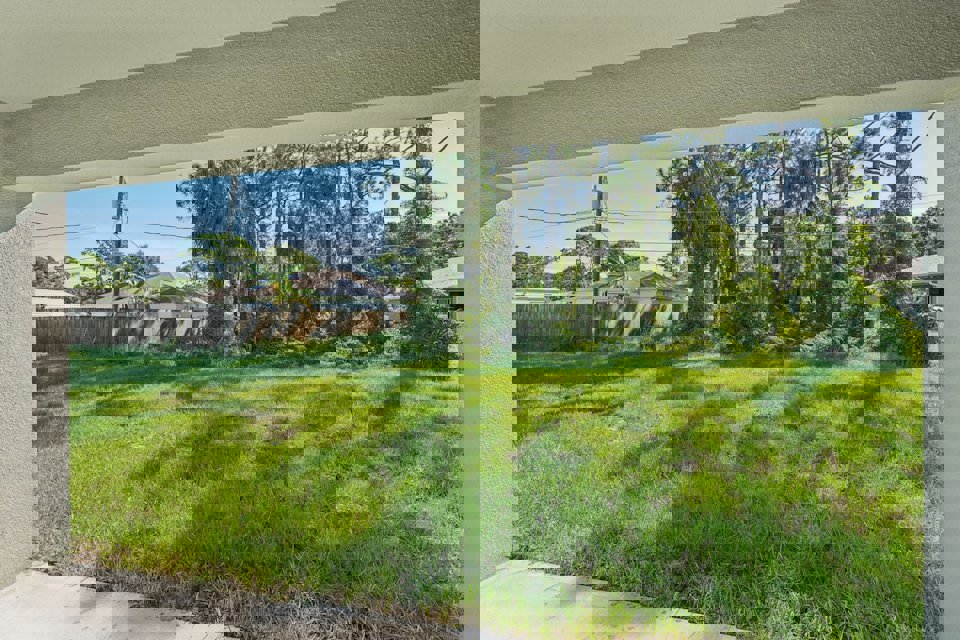 A grassy area with trees in the background.