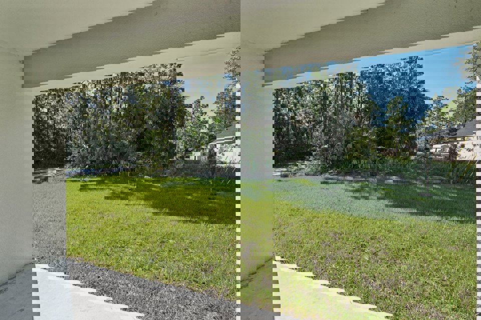 A grassy area with trees in the background.