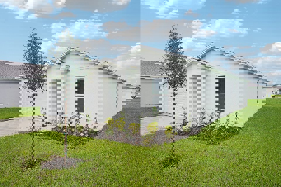 A white house with a tree in the front yard.