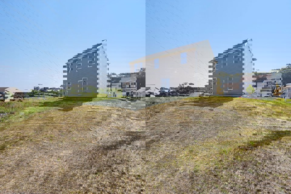 Fogo Island in a field.