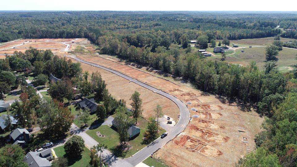 A road with trees and houses.